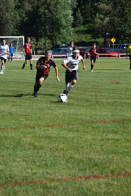 葡萄牙队官方：佩德罗-内托和贡萨尔维斯退出本期大名单