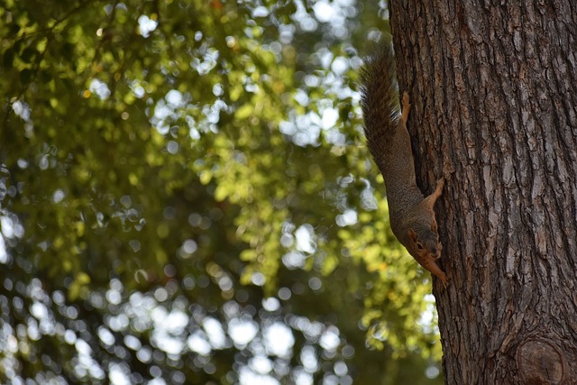 瑞士媒体：一名瑞士裁判涉嫌在女足更衣室偷拍1550小时视频
